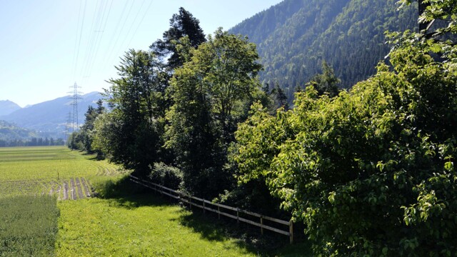Image - News